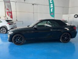 BMW218i CABRIO completo