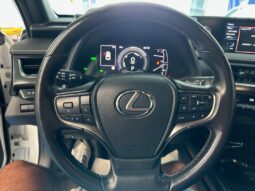 LEXUS LX UX 250-H 2.0 184CV completo