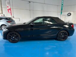 BMW 218i CABRIO completo