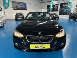 BMW 218i CABRIO completo