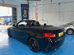 BMW 218i CABRIO completo